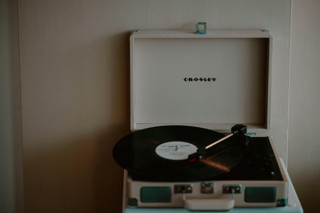 The Revival of Vinyl Records: Why 2024 is the Year of Analog&nbsp;Music